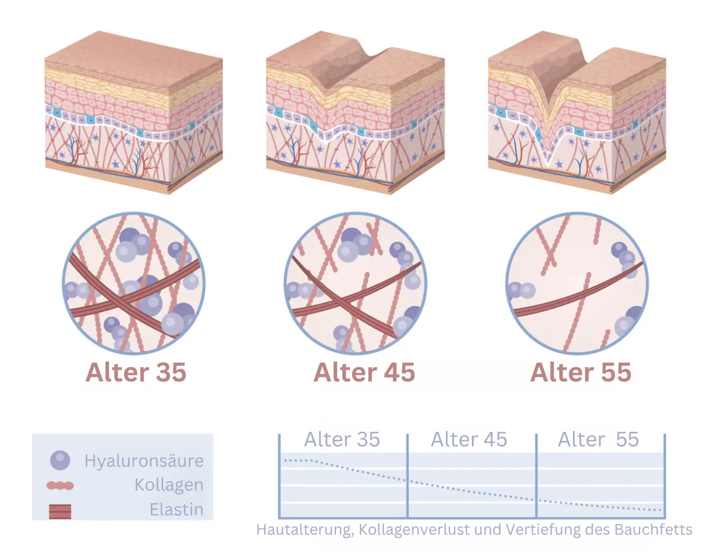 alter-35.png (1) alter-35.png (1)